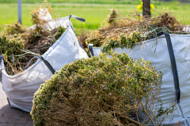 Best Yard Waste Removal  in Belle Rose, LA